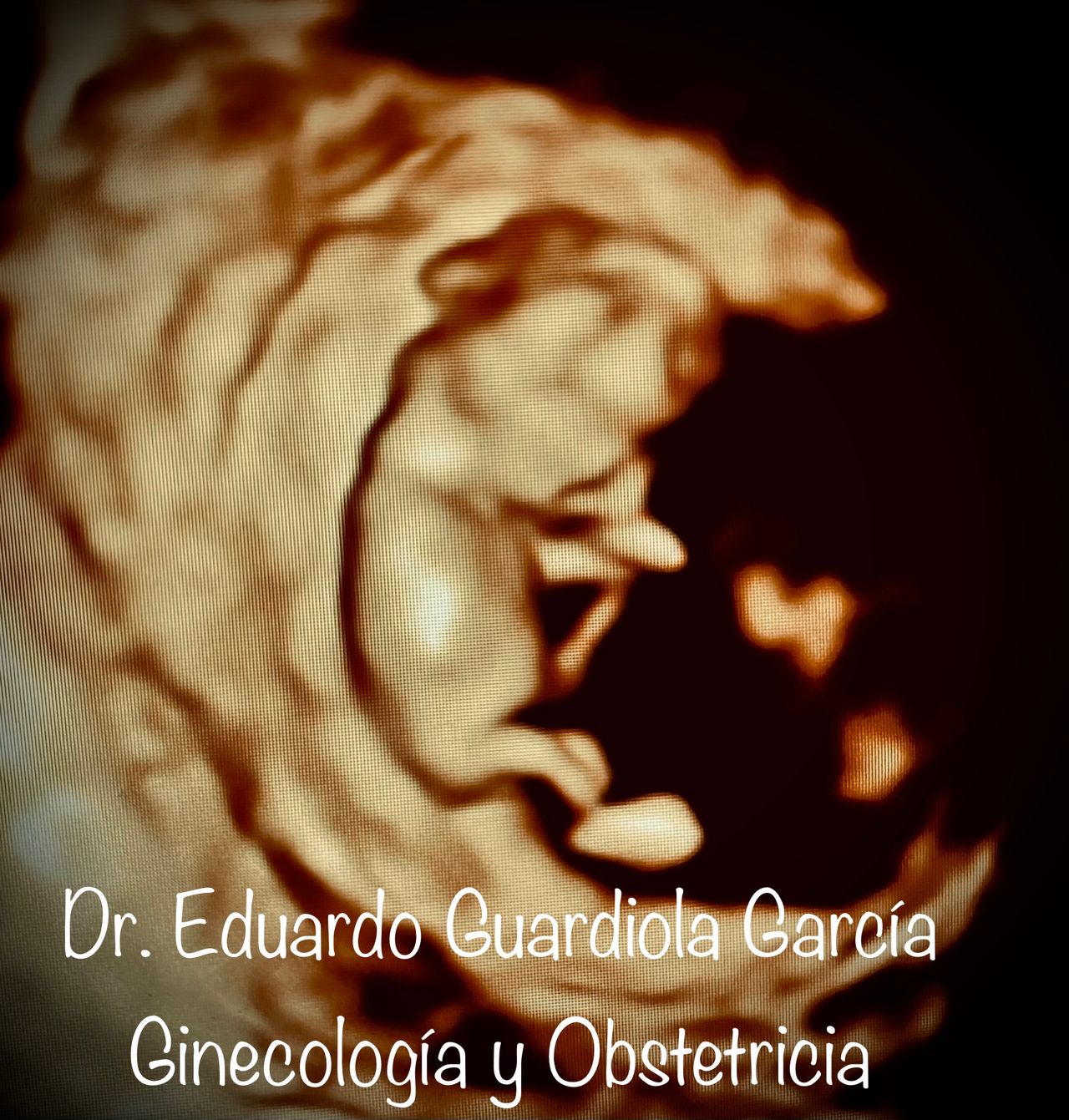 Eduardo Guardiola García-29