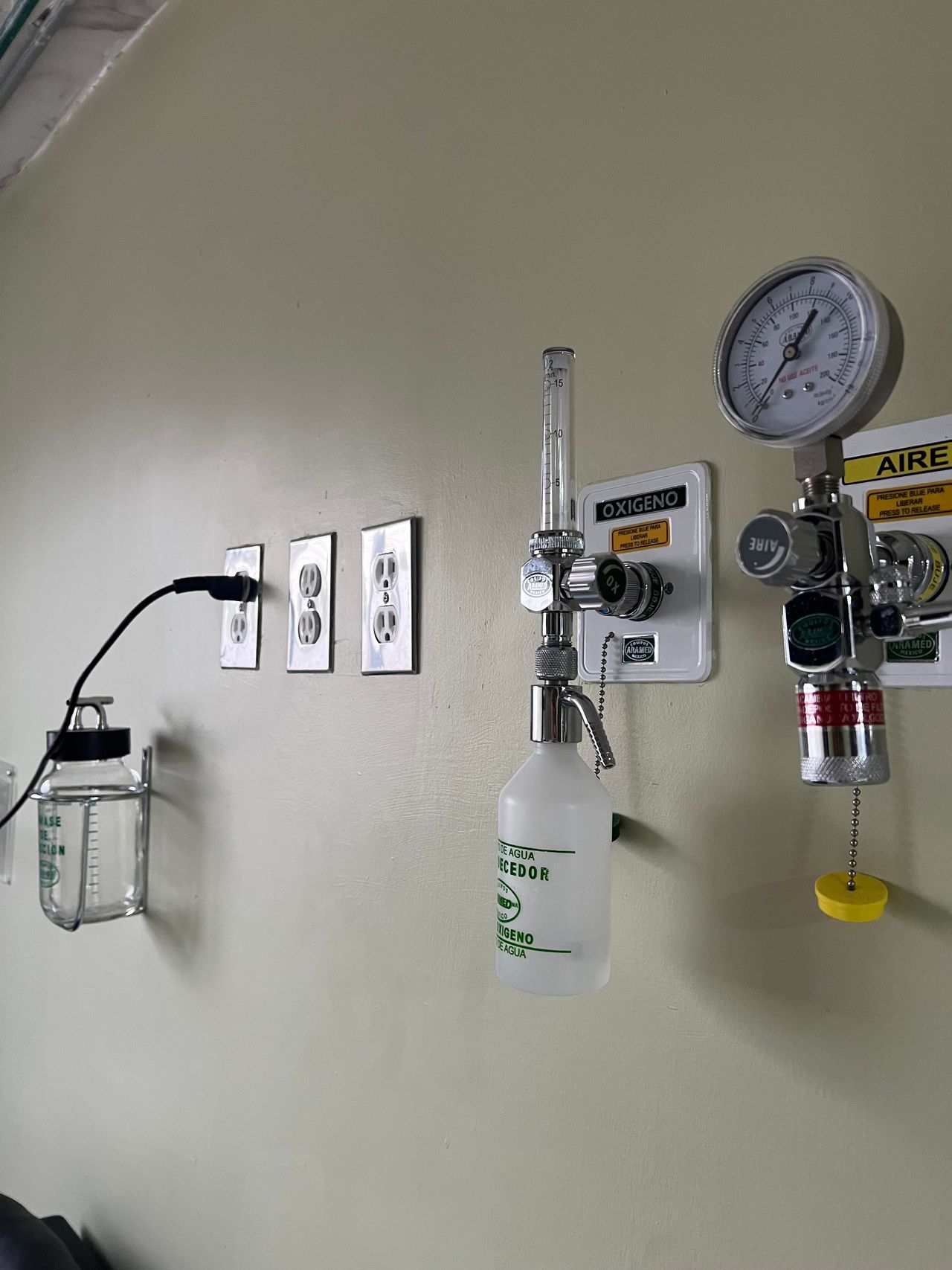 Michelle Leah Bush Arean -19