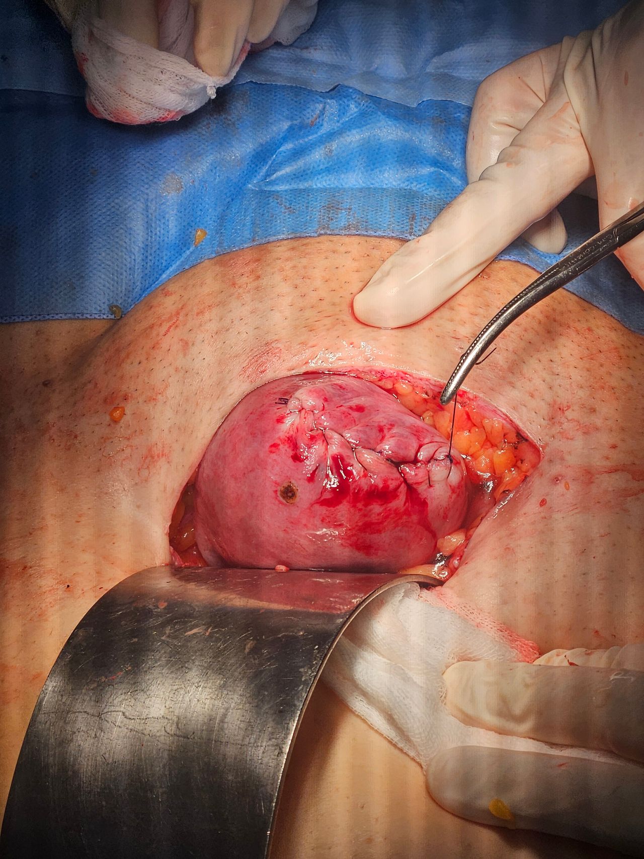 Jorge Alberto Rodriguez Pezino-58