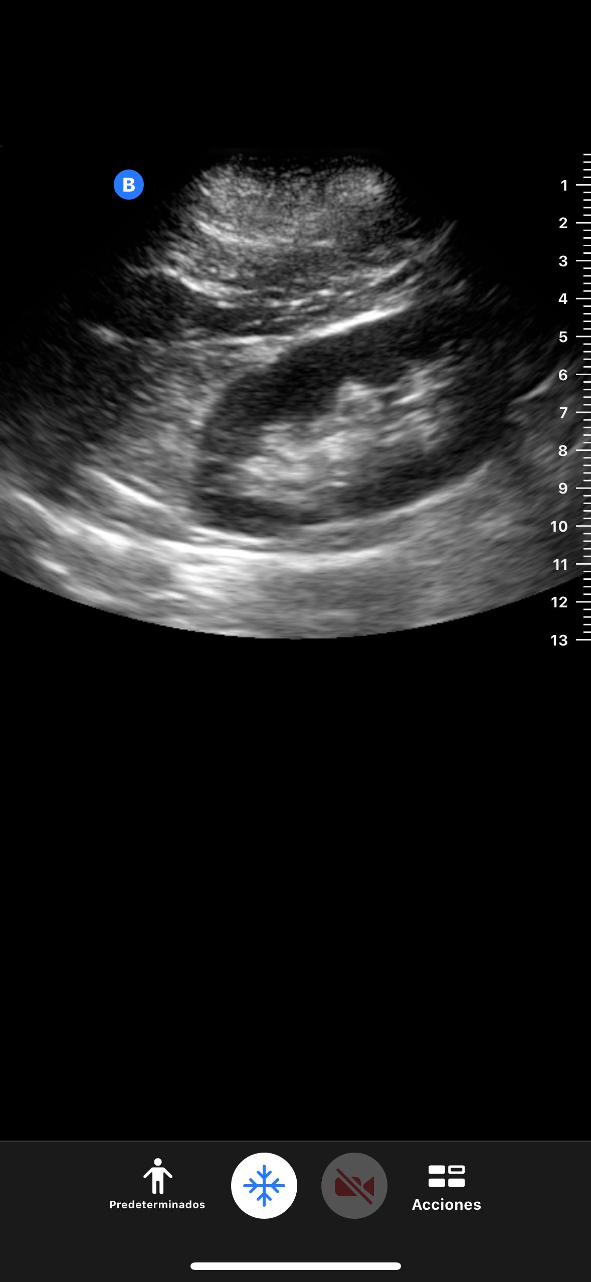 Jesús Salas Ochoa-7