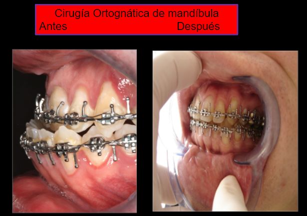 Diana Araceli Dávila Hernández-3