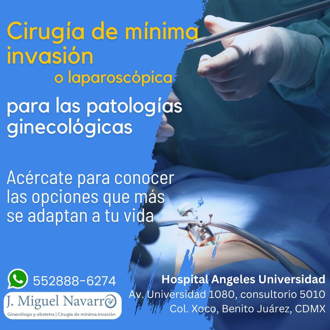 José Miguel Navarro Martín-1