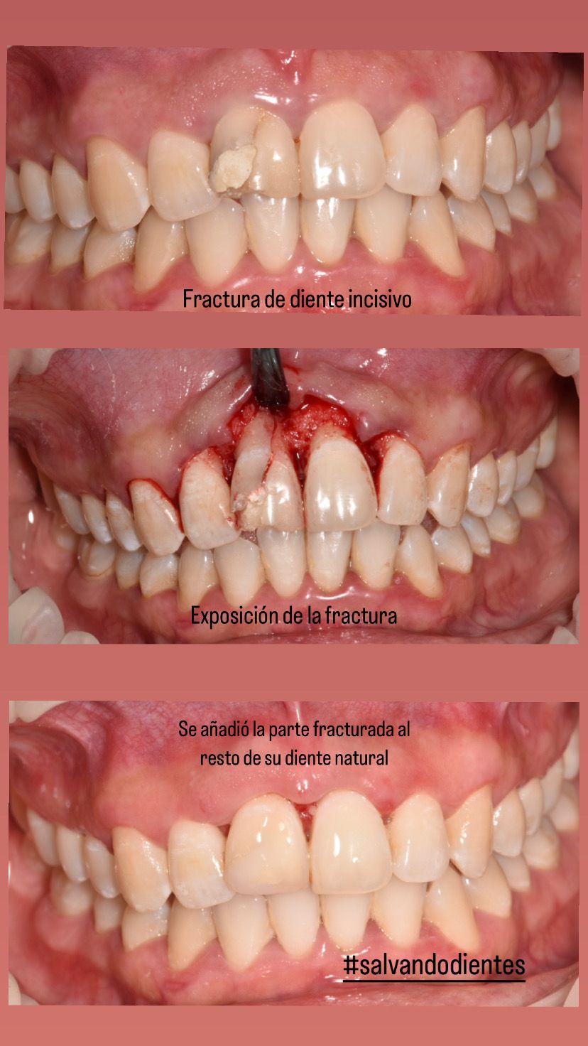 Cinthya Arelí Hernández Ramírez-3