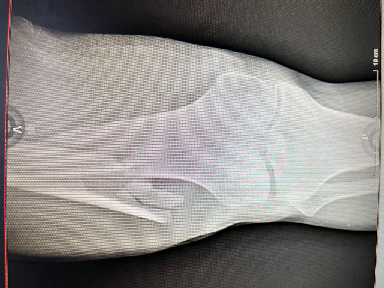 Jesus Armando Silvestre Guzman-5