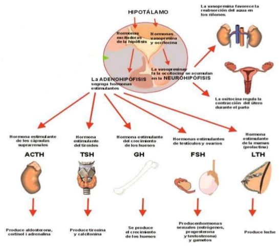 Roberto Gomez Raygoza-12