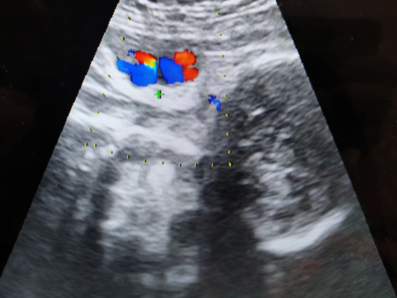 Jorge Alan Gómez Gallardo O'leary-16