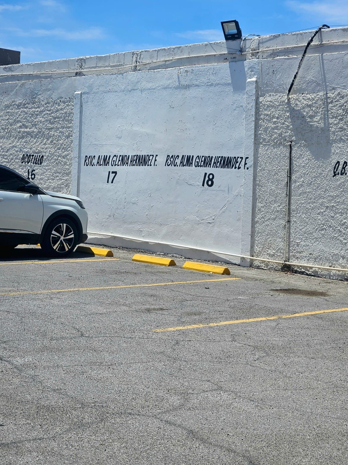 Alma Glenda Hernández Fernández-4