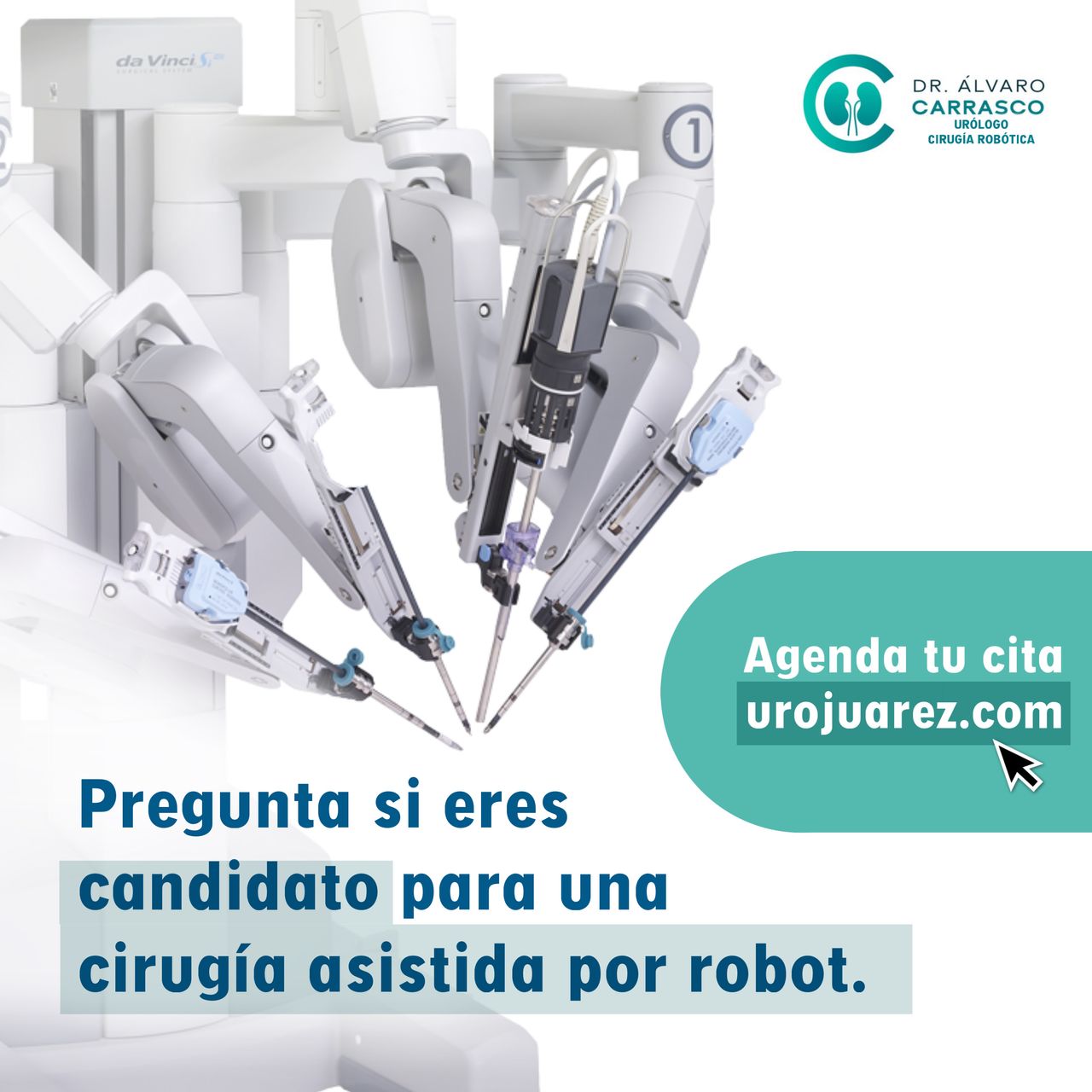 Alvaro I. Carrasco Gonzalez-8