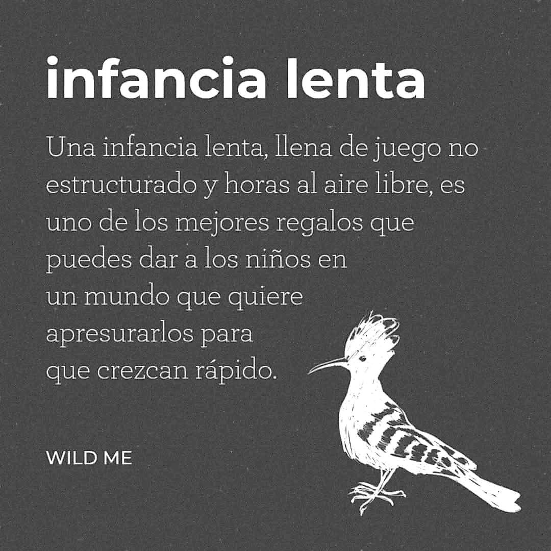 Leticia Verónica Moreno Franco-37