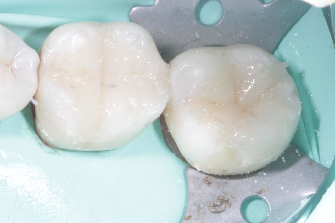 Danae Rocio López Gallegos-13