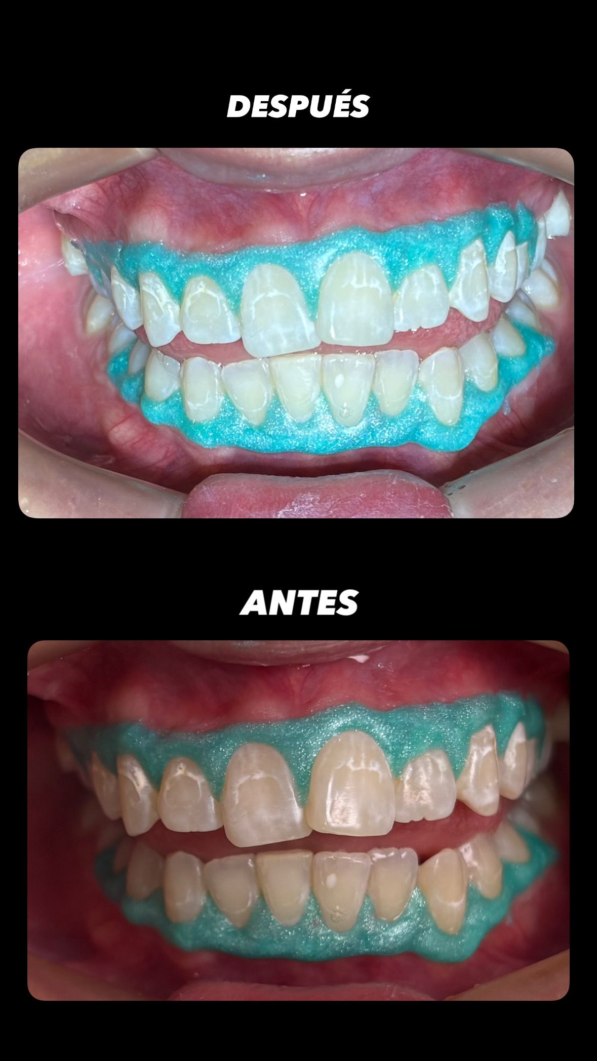 María Paula  Flores Novoa-69