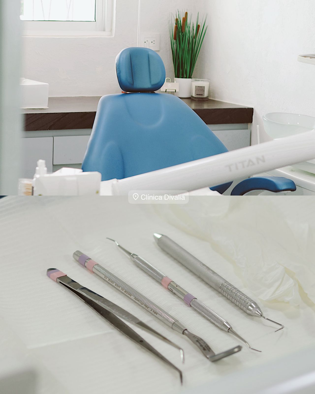 Alicia Esperanza Barrera Vargas-2