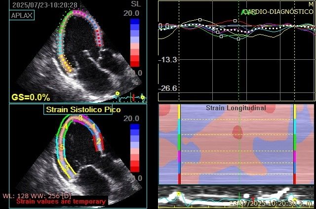 Luis  Ruvalcaba Figueroa -2
