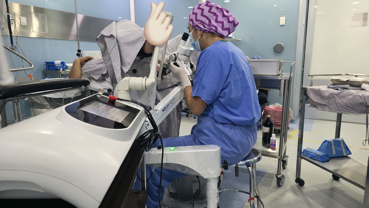 Ana Karen Castañeda Solis-1