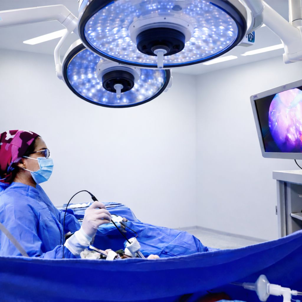 Jessica Jaime Silva-0