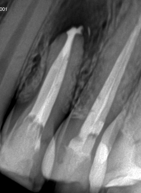 Carlos Gallegos Toledo-4