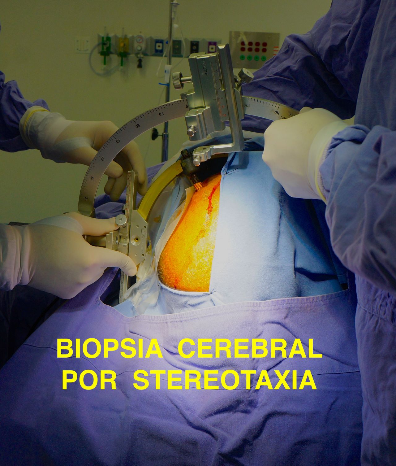 Jesus Rocha Maguey-23