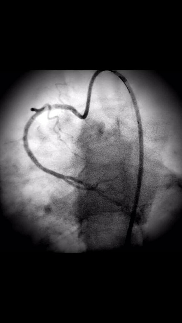 Gilberto Del Campo Ortega-1