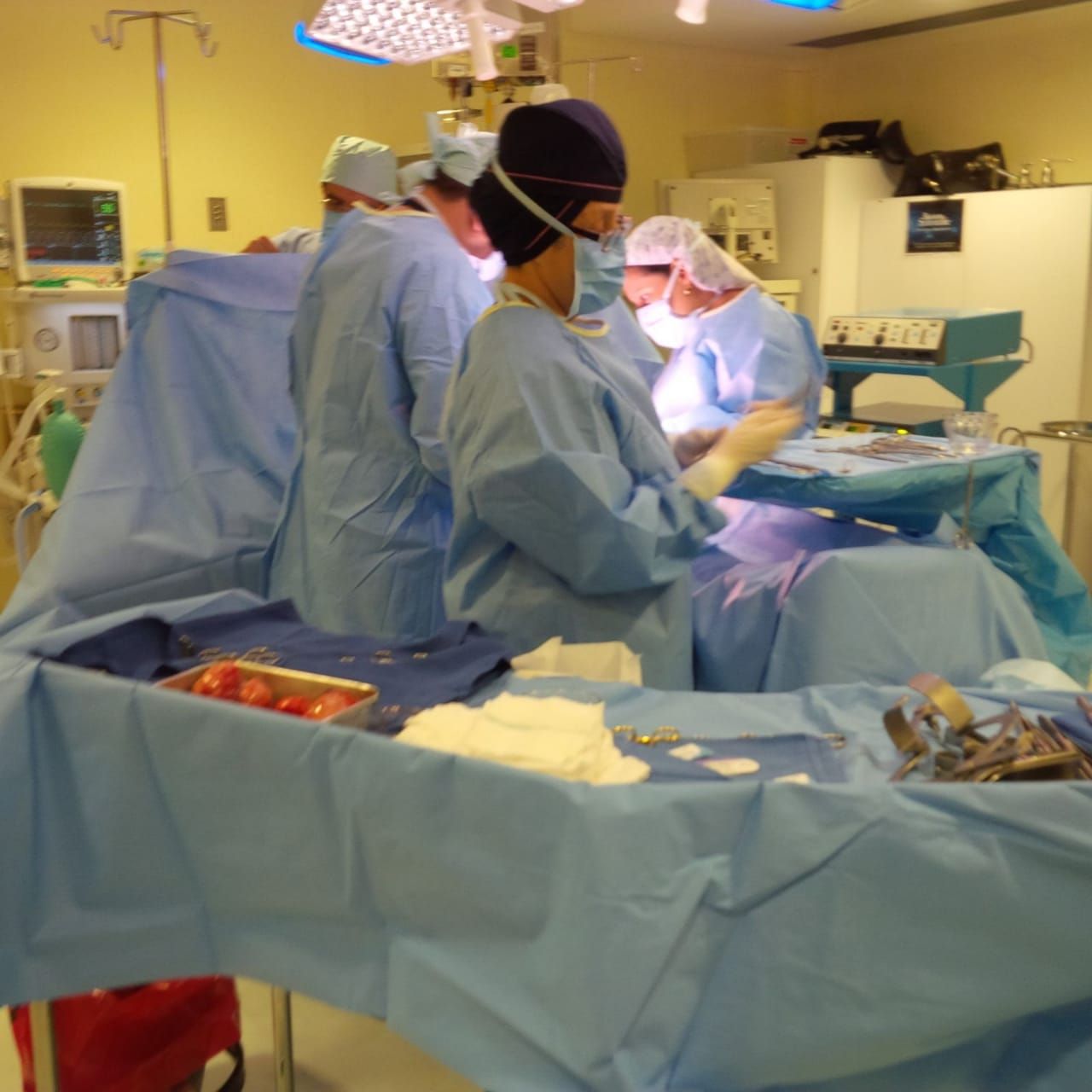 Maria Juana Hernández Valencia-8