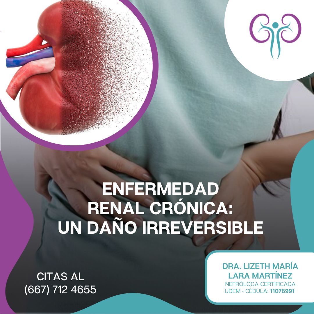 Lizeth María Lara Martínez-14