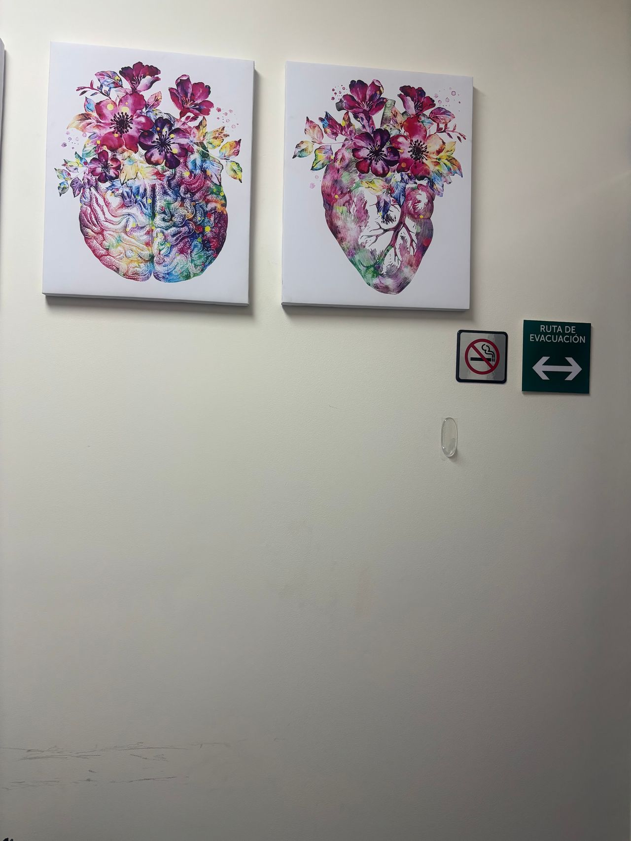 Jimena González Arce-1