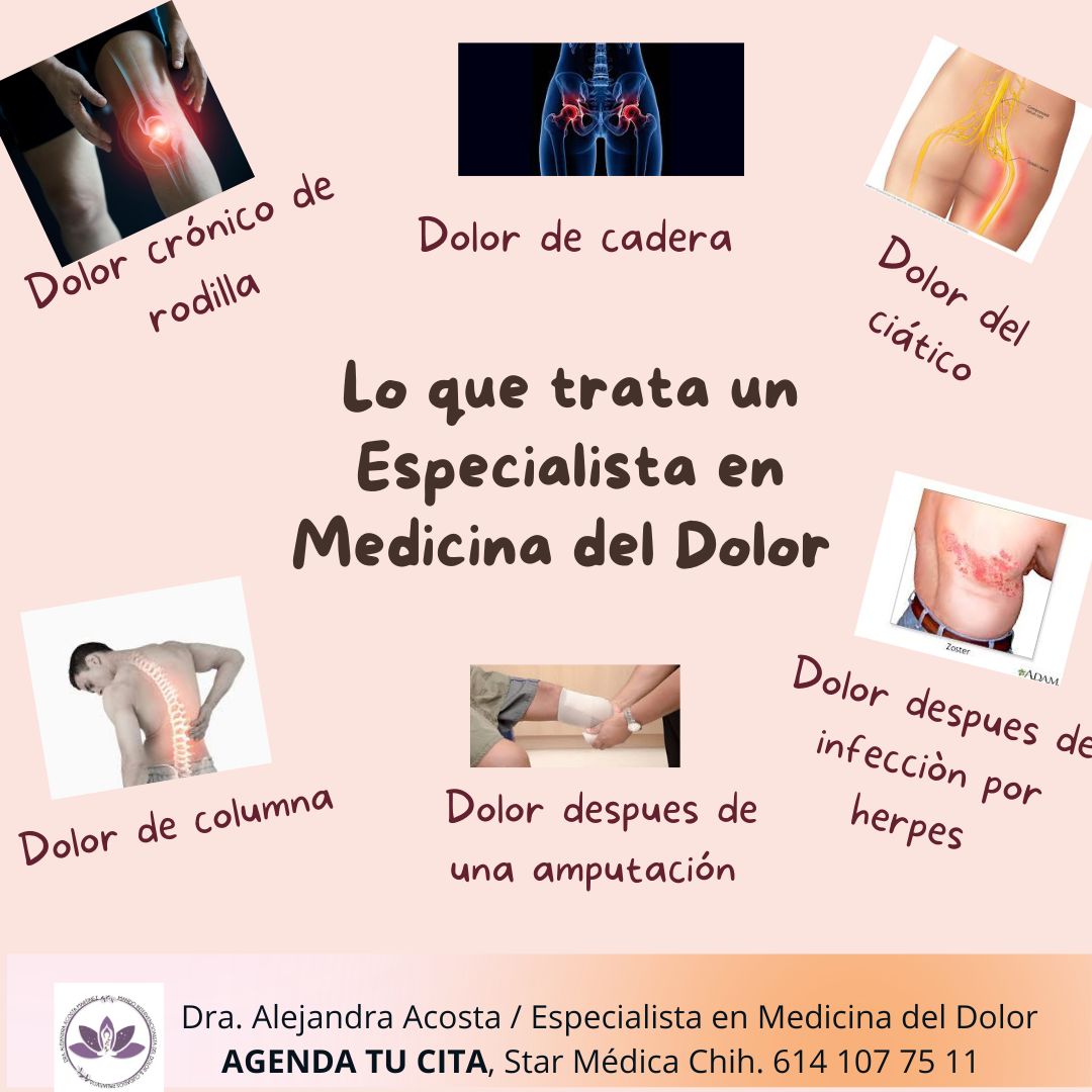 Alejandra Acosta Martinez-2