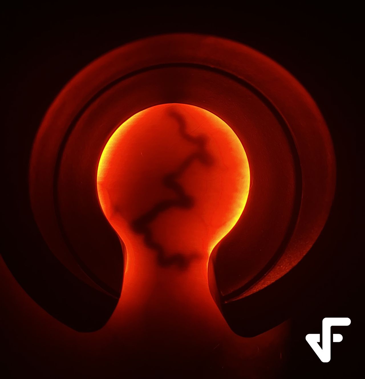 Fausto J. Virgen Barrón-12