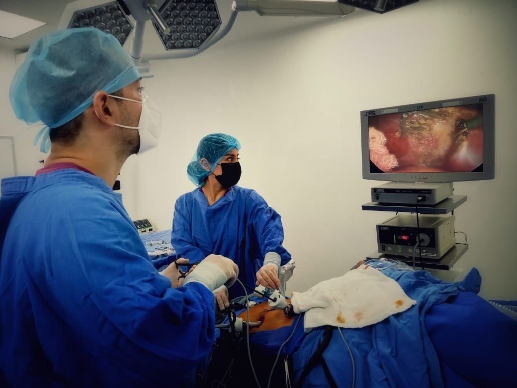 Emmanuel Neve Rabago-1