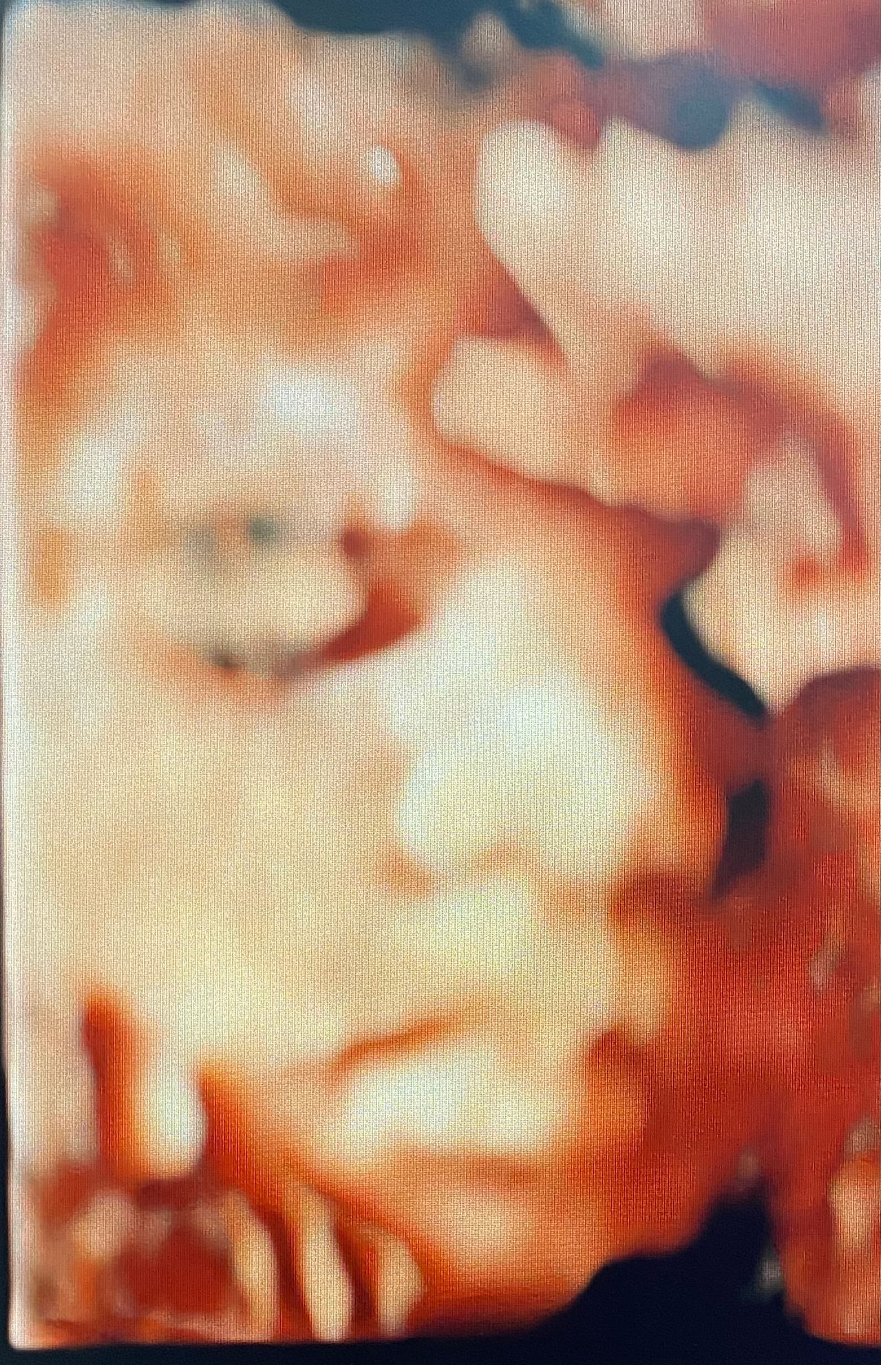 Lorena Terrazas Rios-2