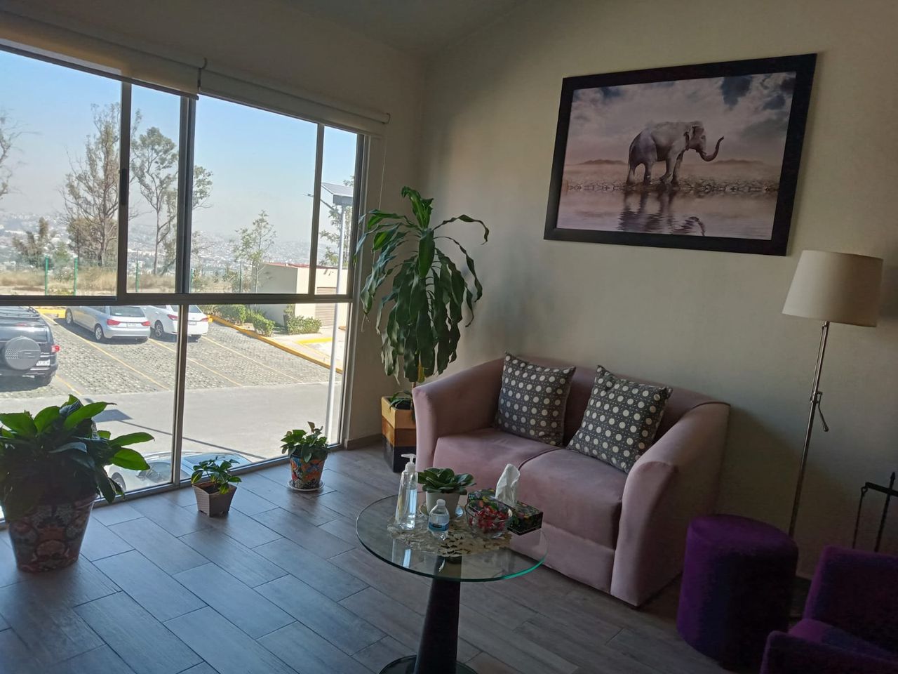 Rosaura González Rubalcava-1