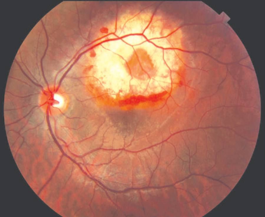 Diana Milena Rivera Nuñez-0