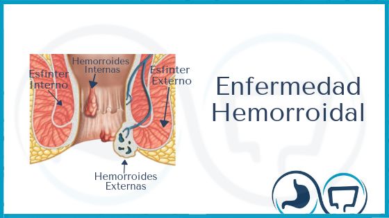 Francisco Javier Valadez Correa-0