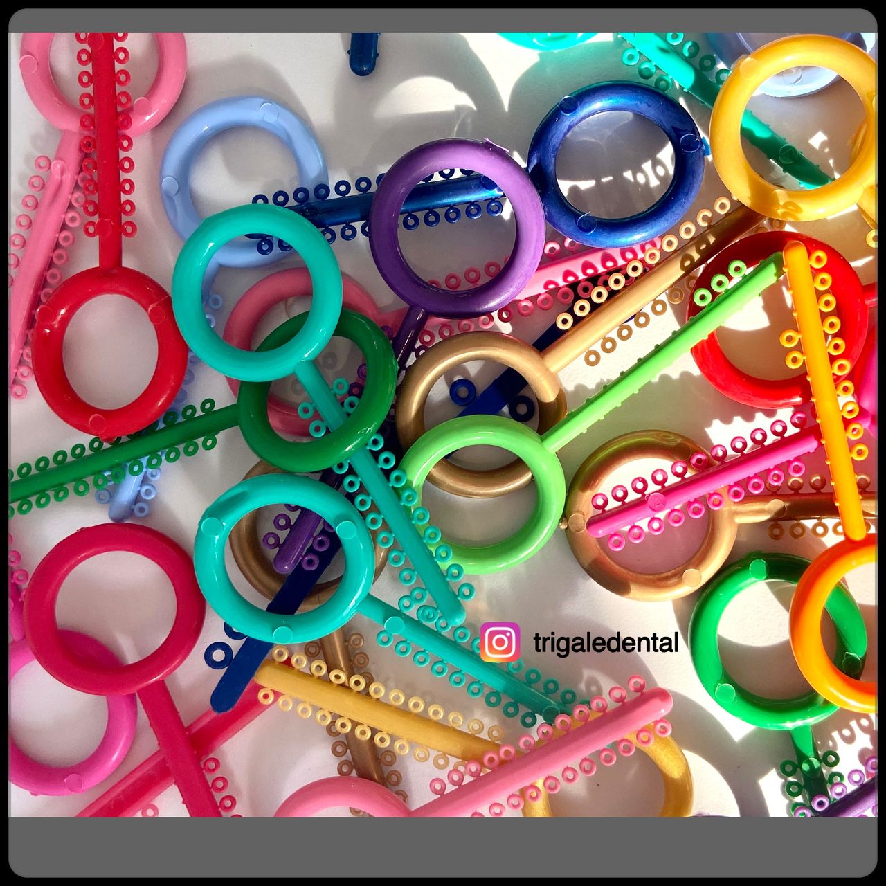 Rocío Gomez Castillo-6