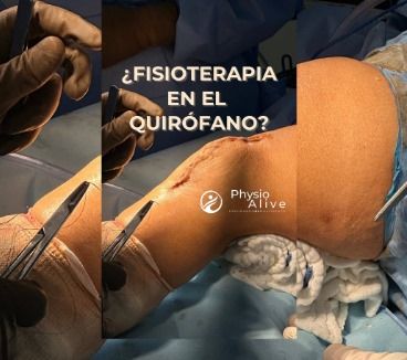 Abril Nayeli García Gómez-1