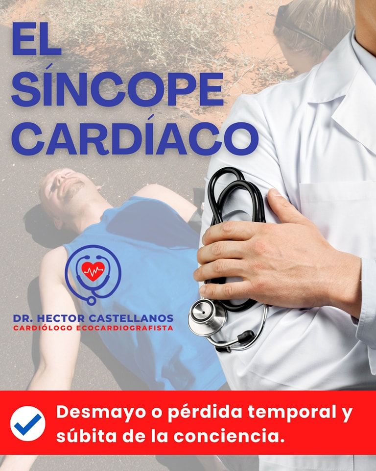 Hector Manuel Castellanos Villagran-17