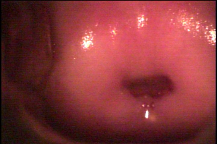 Luis Reynerio Téllez Gómez-2