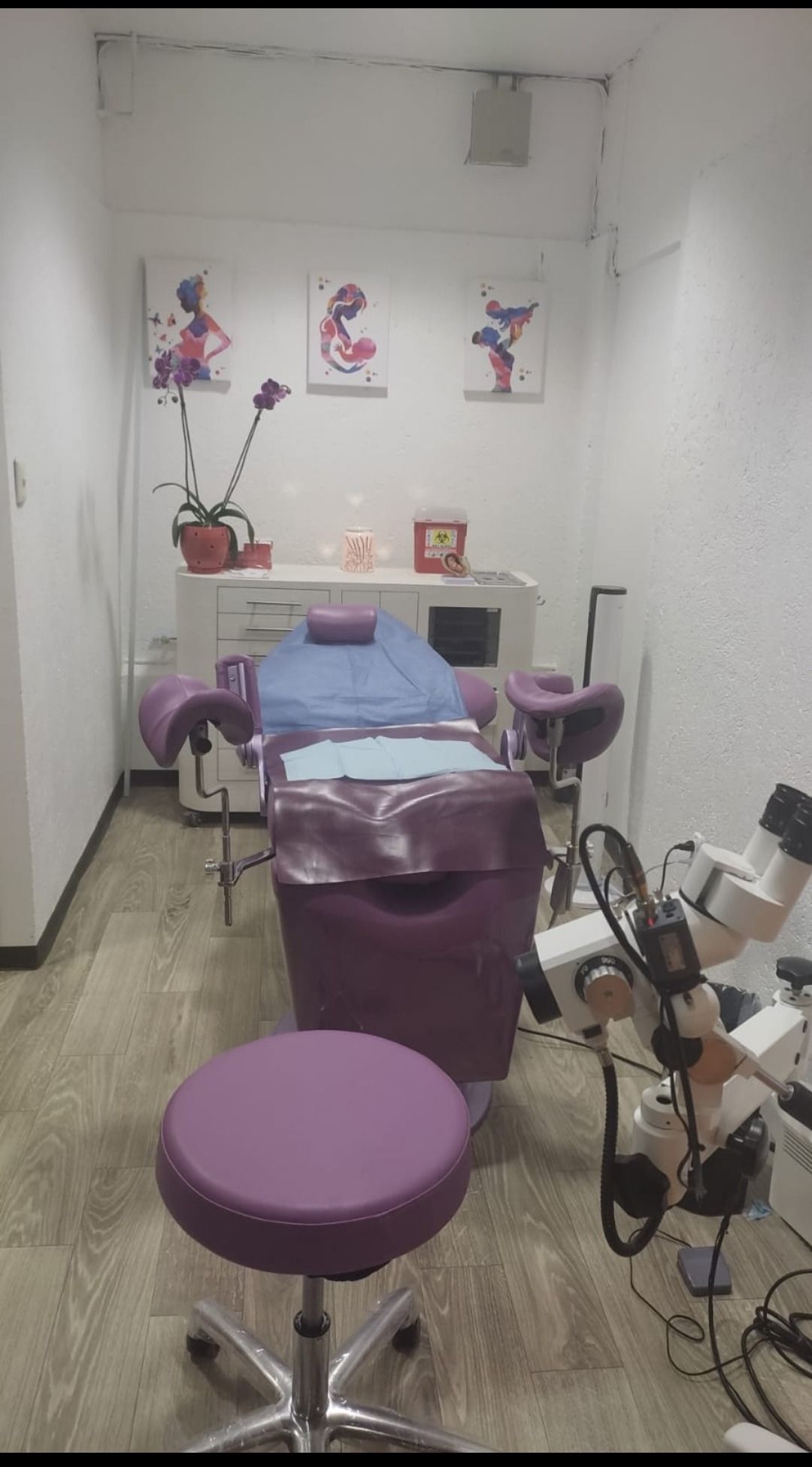 Aremi Castillo Dominguez-2