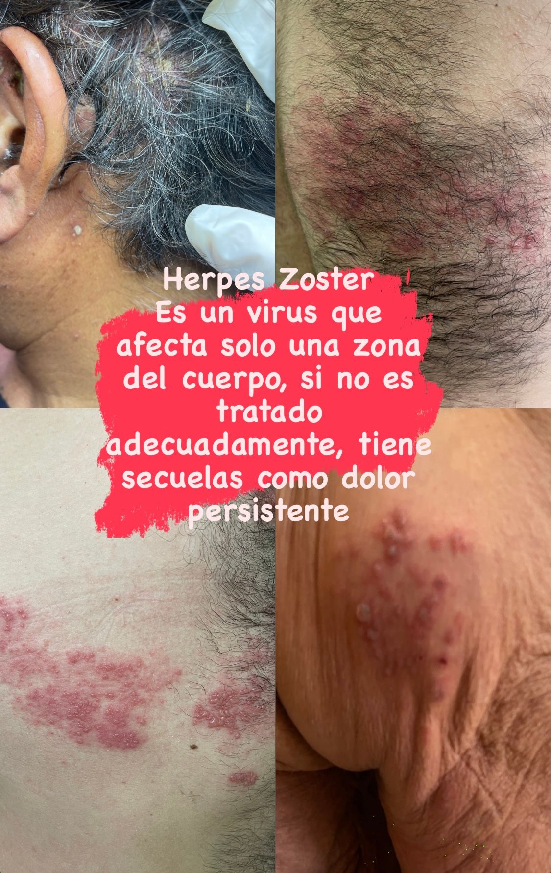 Fabiola Jimenez Hernandez-12