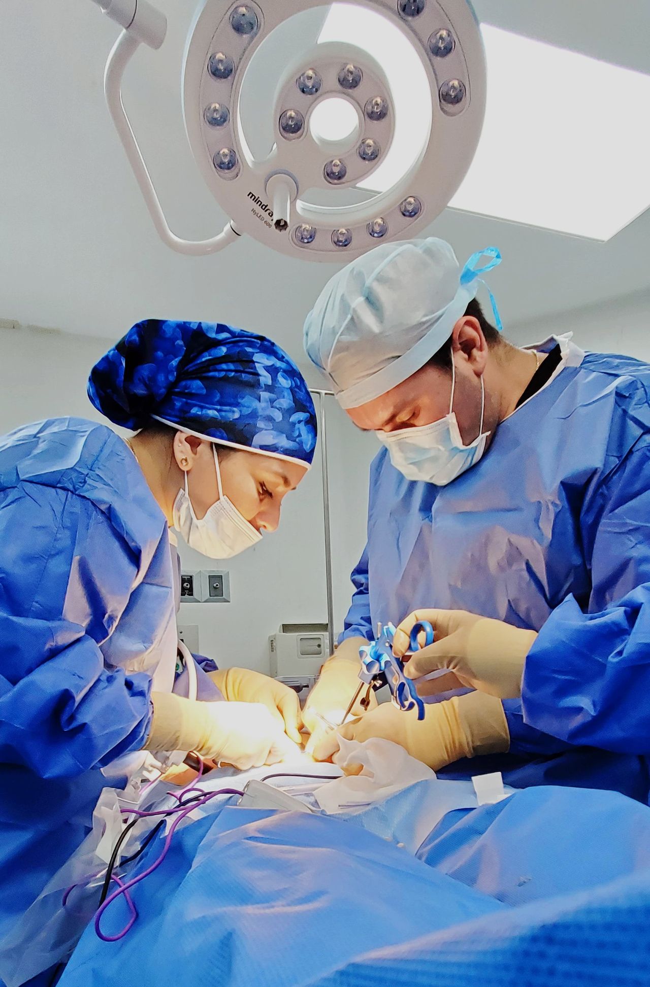 Alba Ilse López Campos-1