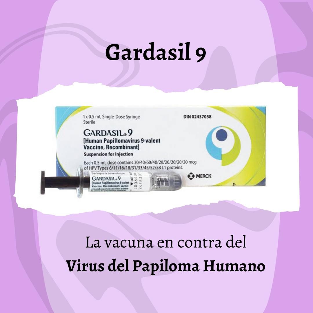 José Miguel Navarro Martín-4