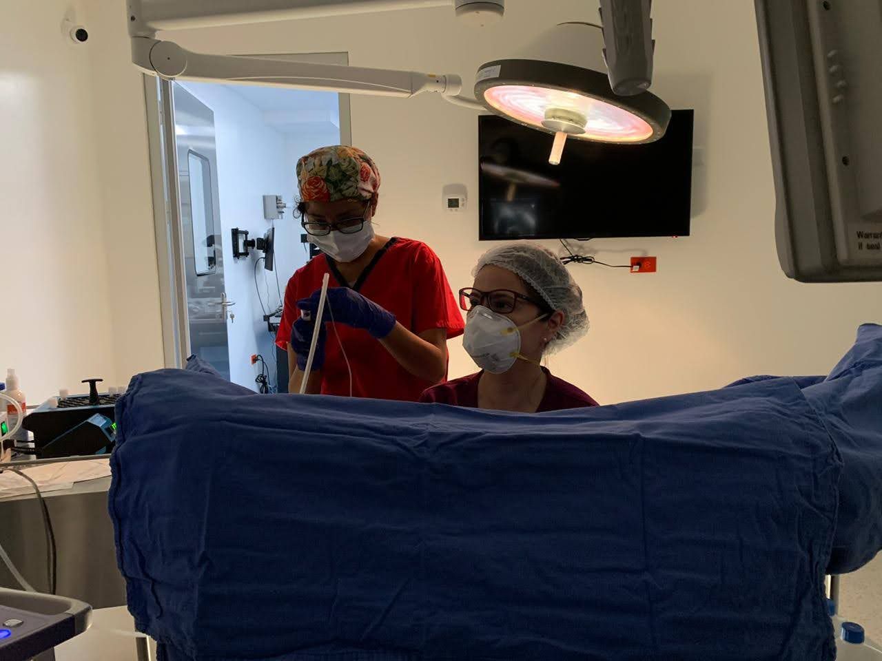 Tannia Paulina Caro Gomez-20