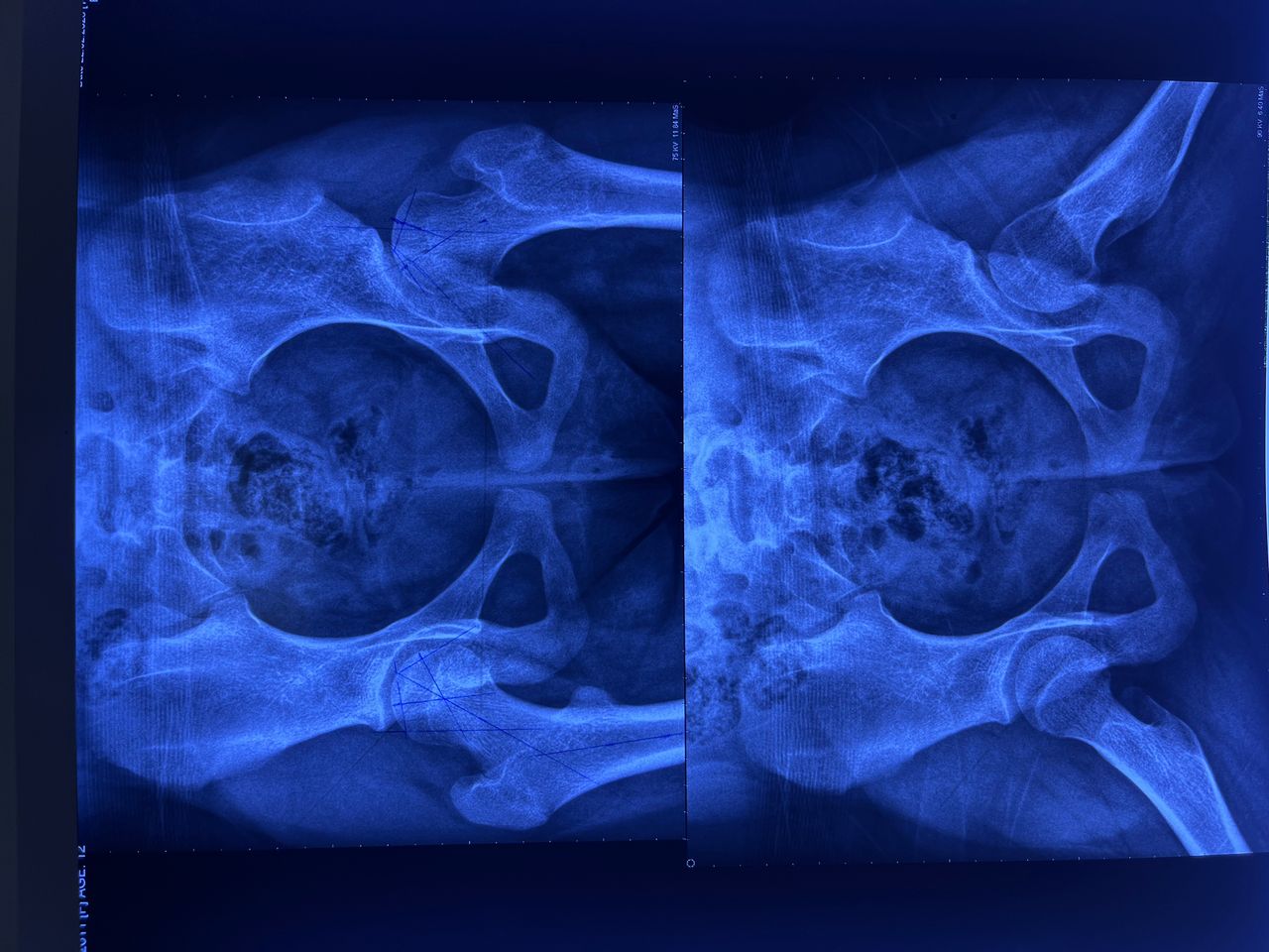 Cynthia Julieta Alvarez Rodríguez-9