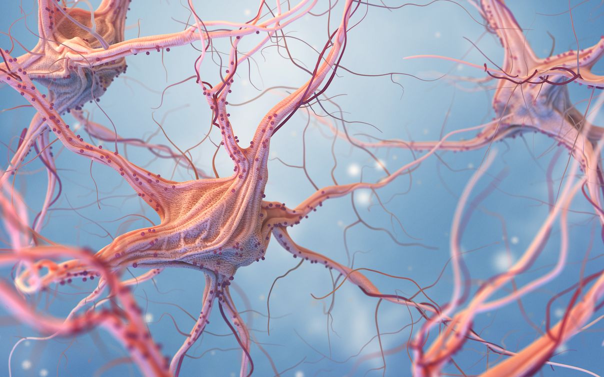 Juan Manuel Quiroz Cabrera-2