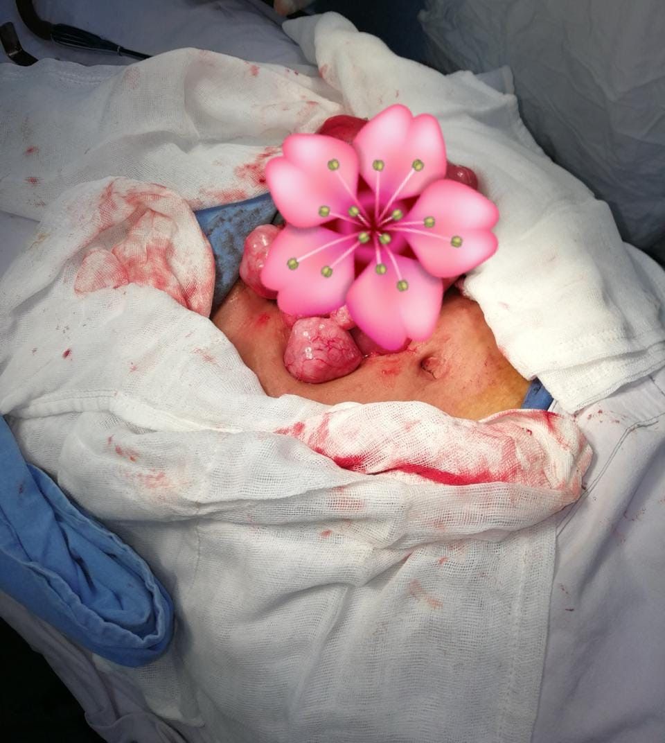 Margarita  Hernández Guzmán -4