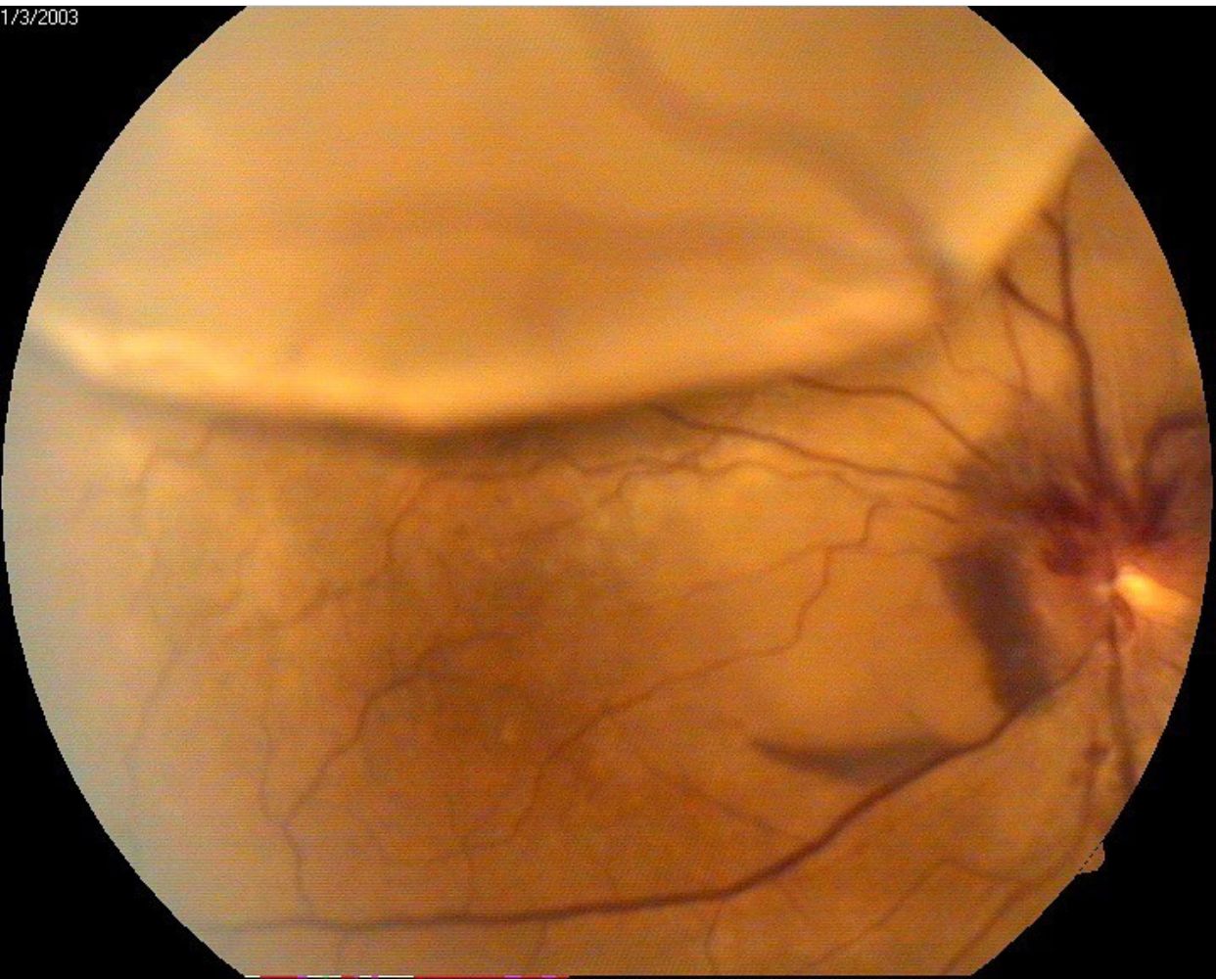 Rosa María Romero Castro-49