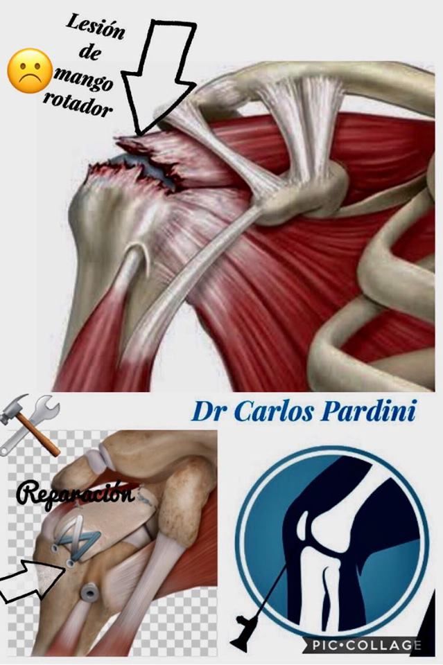 Carlos Gpe. Pardini Angulo-12