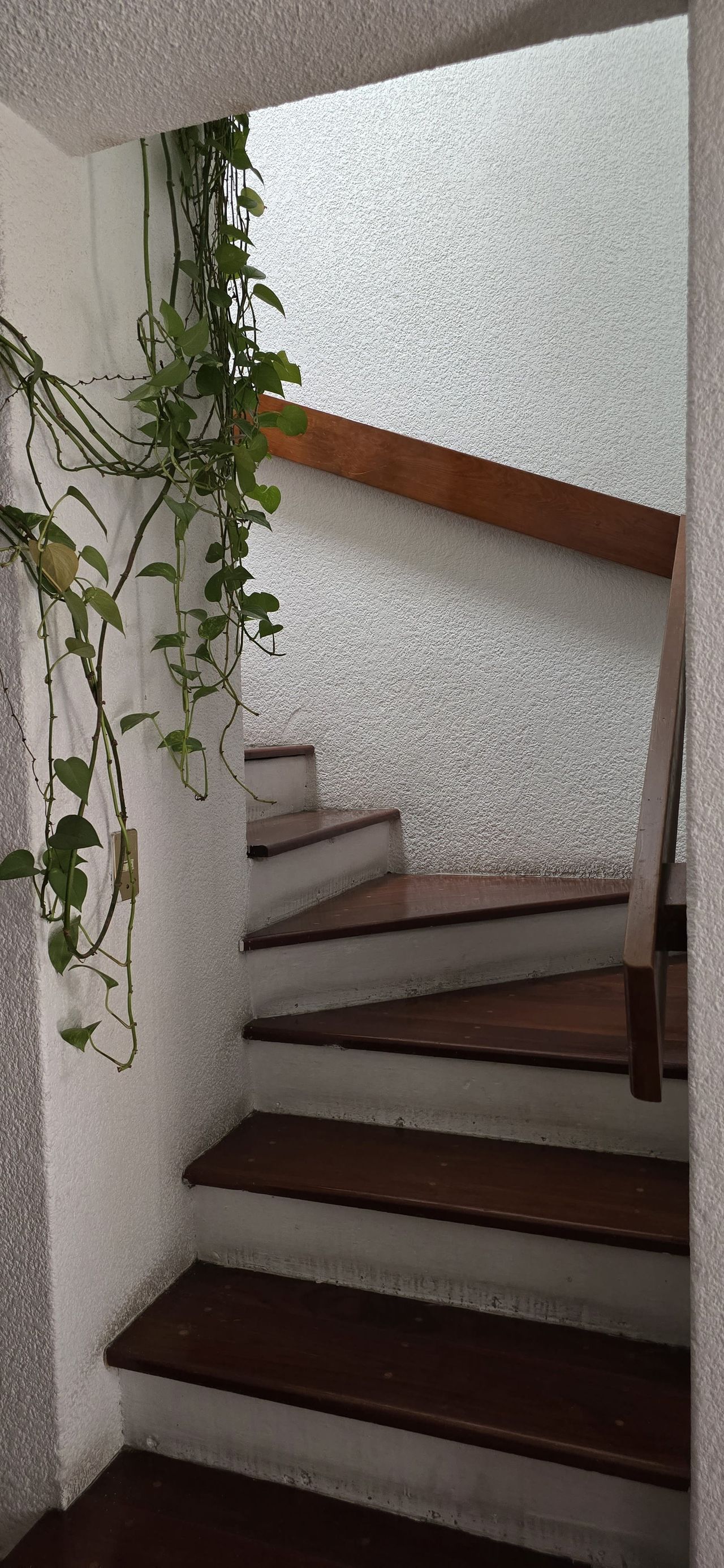 Atanasia Celestina Cruz Ramírez-6