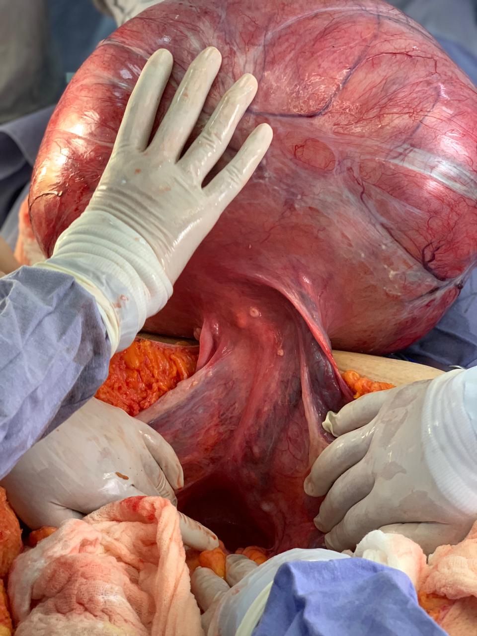 César Espejel Valdés-23