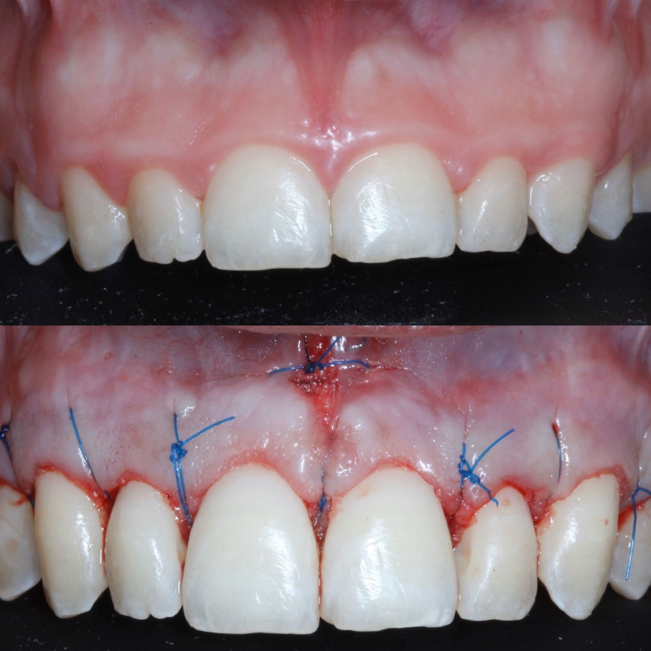 Daniela Martínez García-15