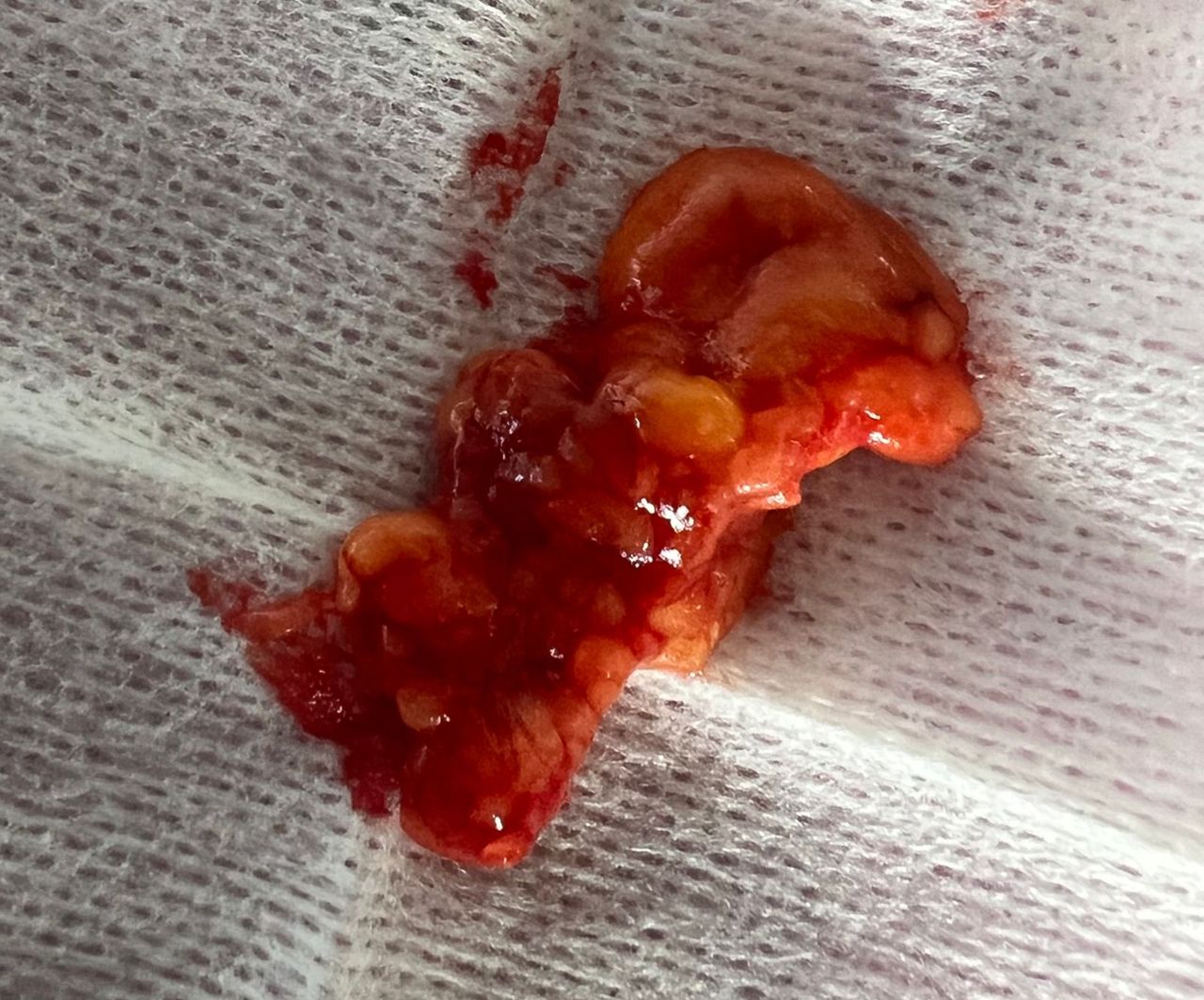 Jair Contreras García-1